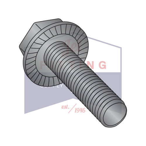 Tornillo dentado con brida hexagonal sin ranura (arandela) de 1/4-20 x 2 (FT) de acero con óxido negro y aceite - Paquete: 1000